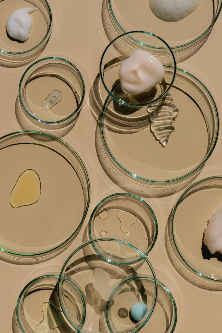 representing the benefits of microbiome skincare with prebiotics, probiotics, and postbiotics.