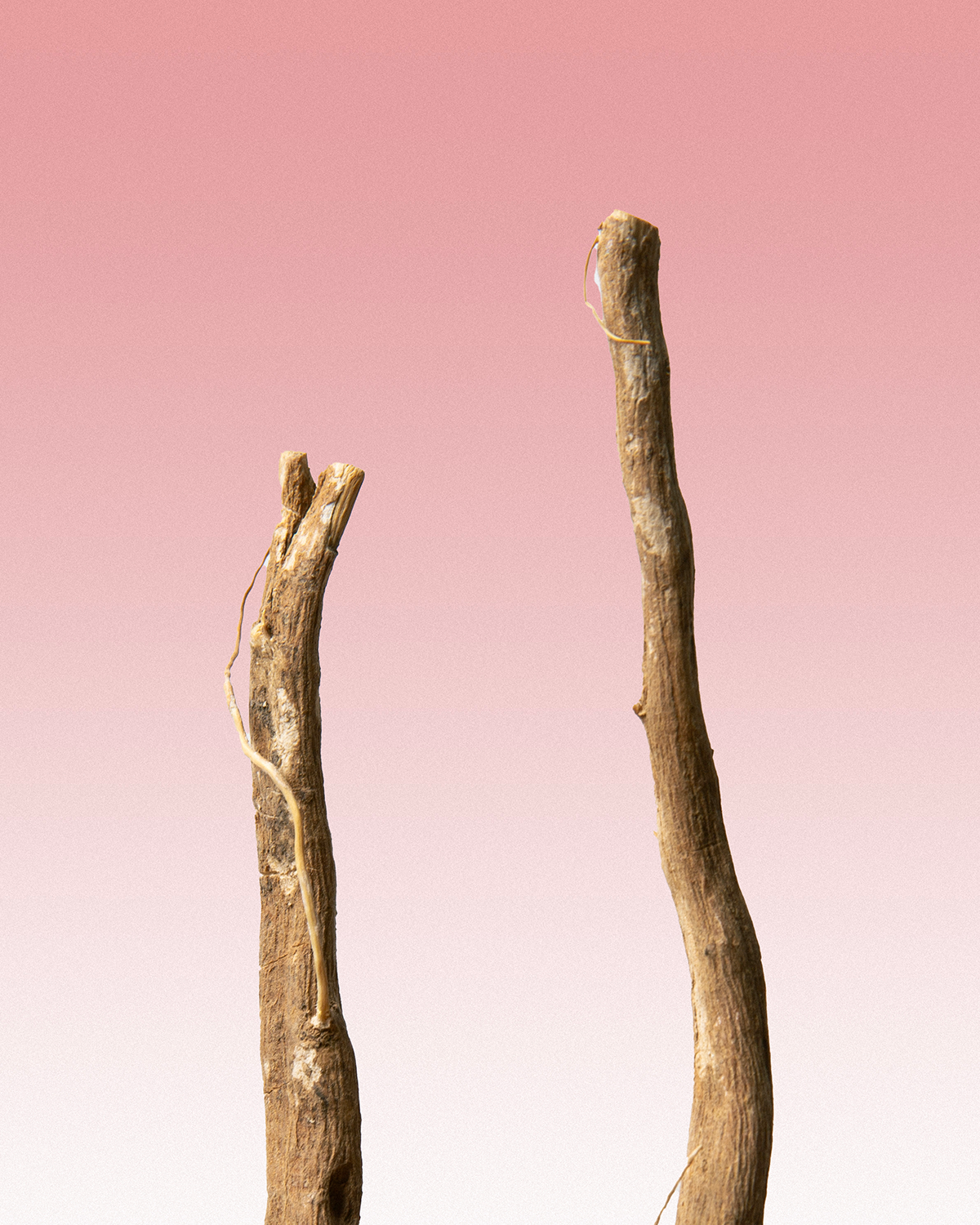 Super Hydrating 24/7 Cream