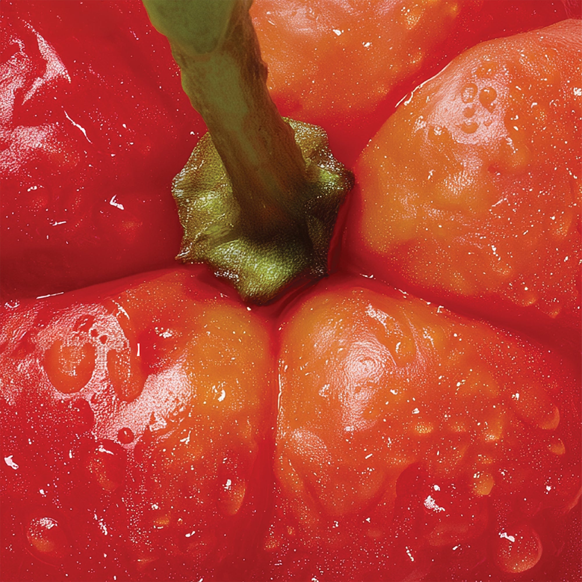 C15 Glow Booster Serum + BBC®